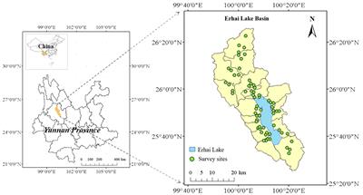 Environmental impacts and nitrogen-carbon-energy nexus of vegetable production in subtropical plateau lake basins